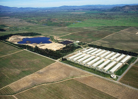 tratamiento peralillo