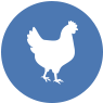 mascara pollo