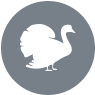 pavo